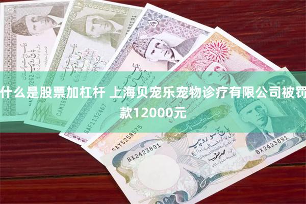 什么是股票加杠杆 上海贝宠乐宠物诊疗有限公司被罚款12000元