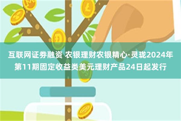 互联网证劵融资 农银理财农银精心·灵珑2024年第11期固定收益类美元理财产品24日起发行