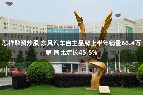 怎样融资炒股 东风汽车自主品牌上半年销量66.4万辆 同比增长45.5%