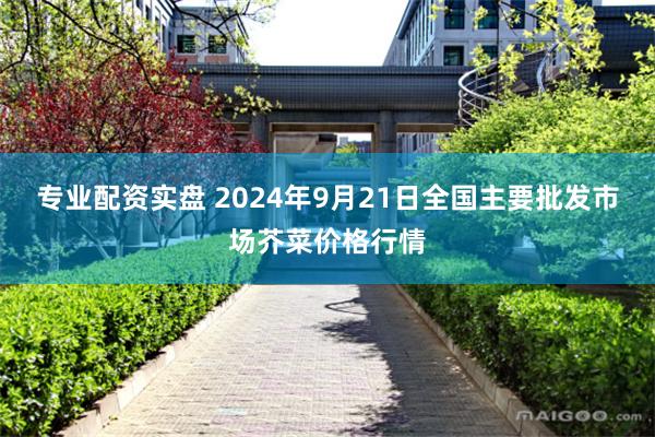 专业配资实盘 2024年9月21日全国主要批发市场芥菜价格行情