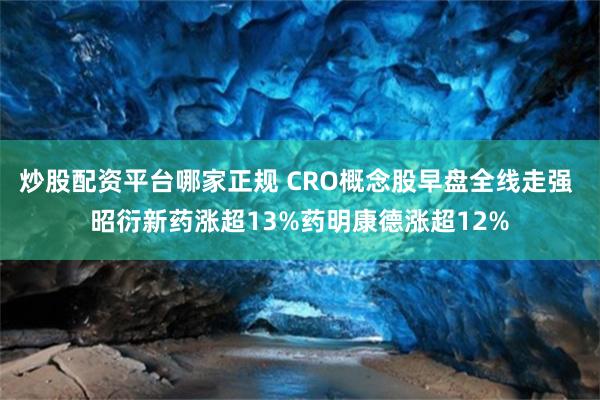 炒股配资平台哪家正规 CRO概念股早盘全线走强 昭衍新药涨超13%药明康德涨超12%