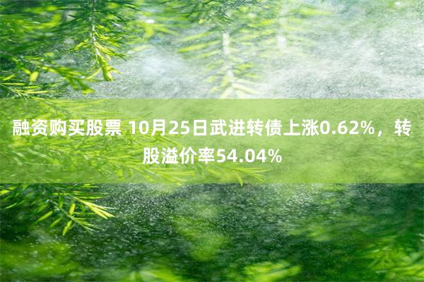 融资购买股票 10月25日武进转债上涨0.62%，转股溢价率54.04%