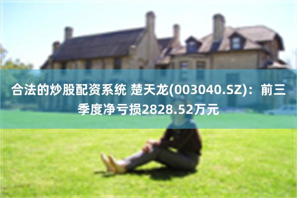 合法的炒股配资系统 楚天龙(003040.SZ)：前三季度净亏损2828.52万元