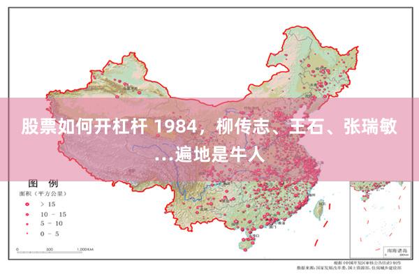 股票如何开杠杆 1984，柳传志、王石、张瑞敏…遍地是牛人