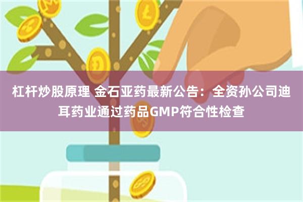 杠杆炒股原理 金石亚药最新公告：全资孙公司迪耳药业通过药品GMP符合性检查