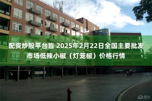 配资炒股平台皆 2025年2月22日全国主要批发市场低辣小椒（灯笼椒）价格行情